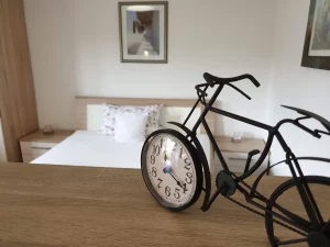 Ferienwohnung-Fraueninsel-4